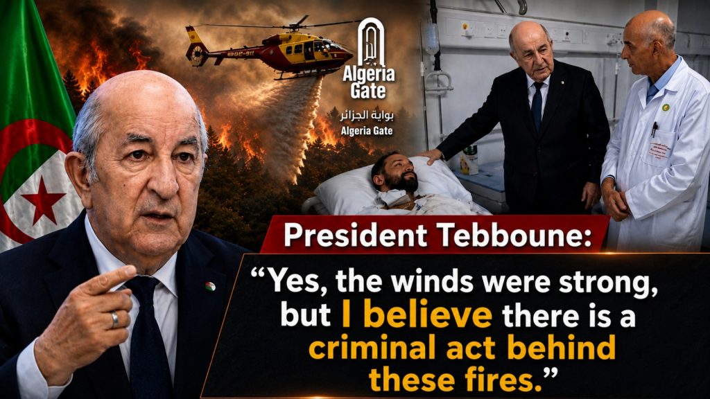 President Tebboune: “Yes, the winds were strong, but I believe there is a criminal act behind these fires”