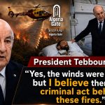 President Tebboune: “Yes, the winds were strong, but I believe there is a criminal act behind these fires”