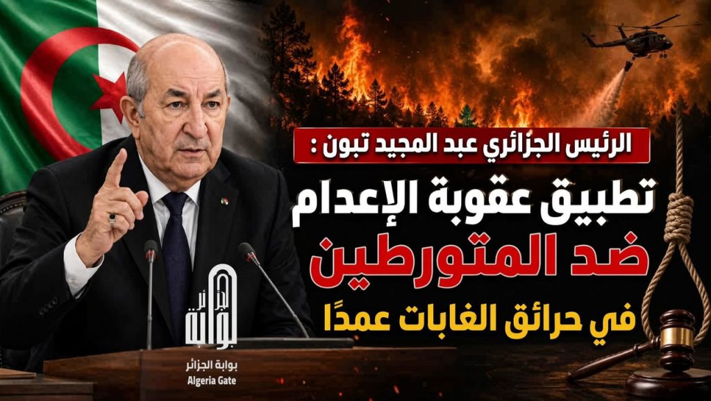الرئيس تبون يأمر بتطبيق الإعدام على مضرمي الحرائق عمدًا