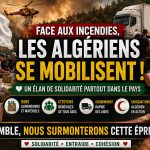 Incendies en Algérie : un élan de solidarité qui dépasse les frontières
