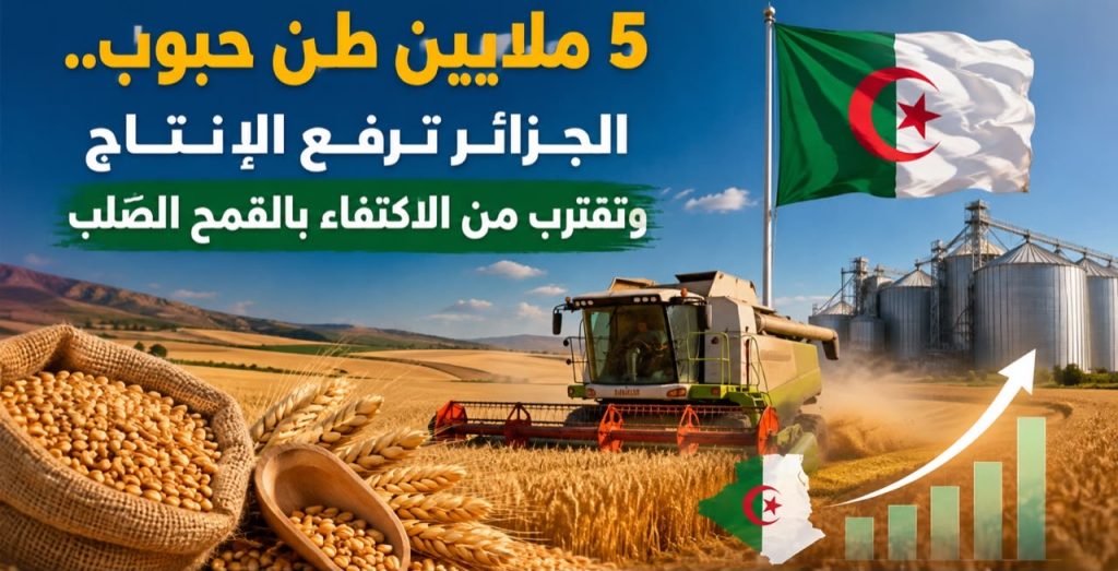 5 ملايين طن حبوب.. الجزائر ترفع الإنتاج وتقترب من الاكتفاء بالقمح الصلب