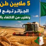 5 ملايين طن حبوب.. الجزائر ترفع الإنتاج وتقترب من الاكتفاء بالقمح الصلب