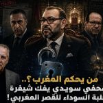 من يحكم المغرب؟.. صحفي سويدي يفك شيفرة العلبة السوداء للقصر المغربي!