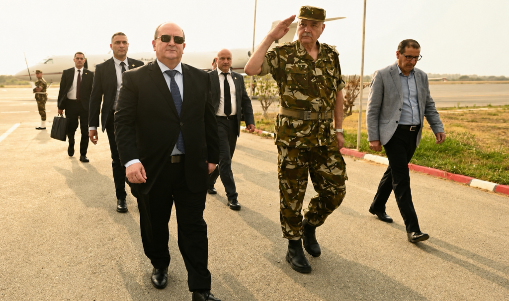 Government Officials Deployed Across Algeria to Tackle Widespread Wildfires (Special Report)