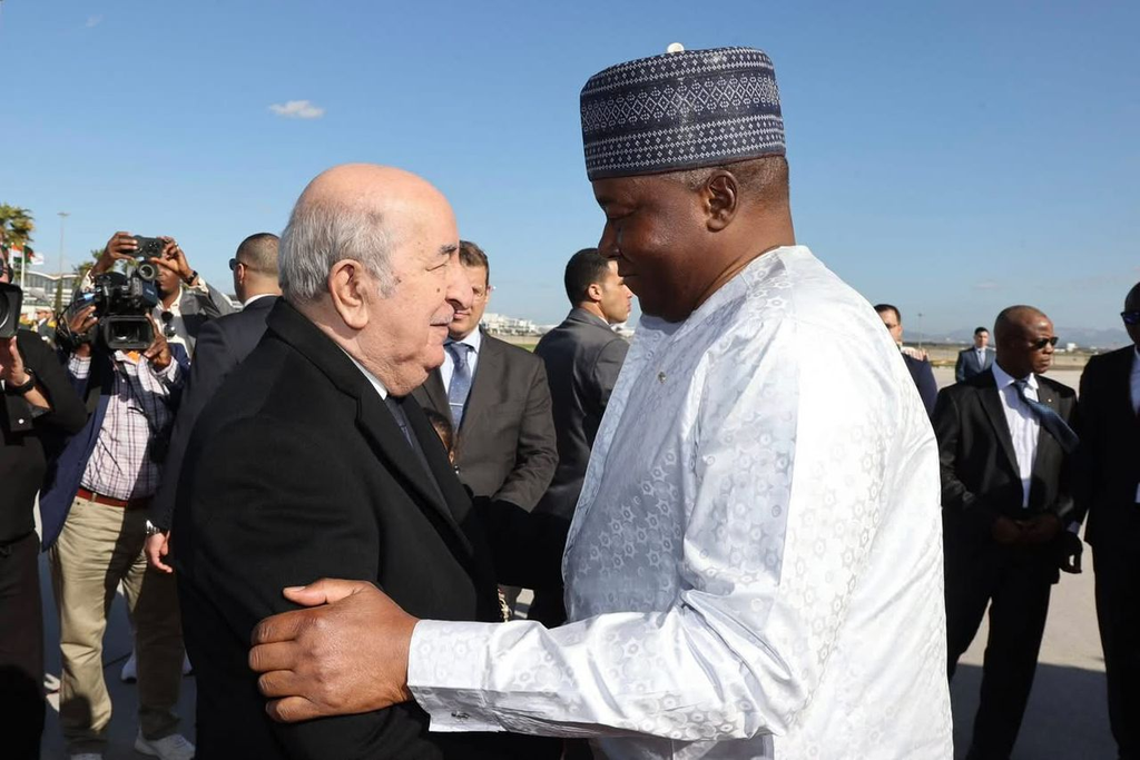 Axis of Evil Alarmed by Algeria’s Sahel Strategy… Who Is Playing with Fire in Niger?