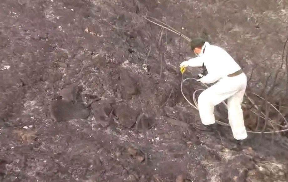 Deadly Fires Rock Algeria… Gendarmerie Begins Investigation and Evidence Collection!