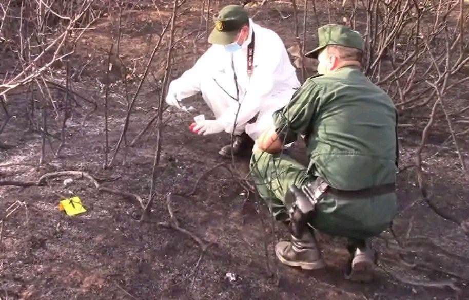 Deadly Fires Rock Algeria… Gendarmerie Begins Investigation and Evidence Collection!