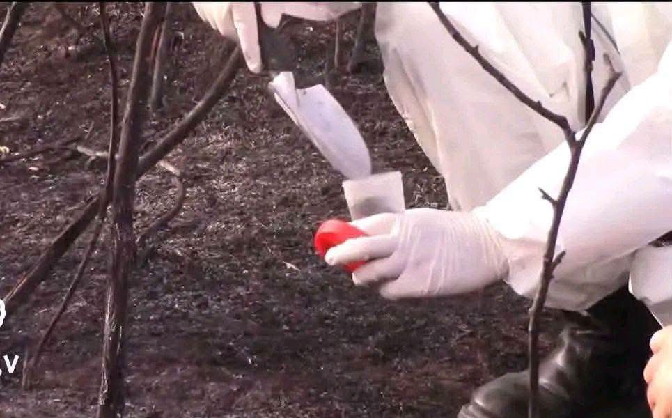 Deadly Fires Rock Algeria… Gendarmerie Begins Investigation and Evidence Collection!