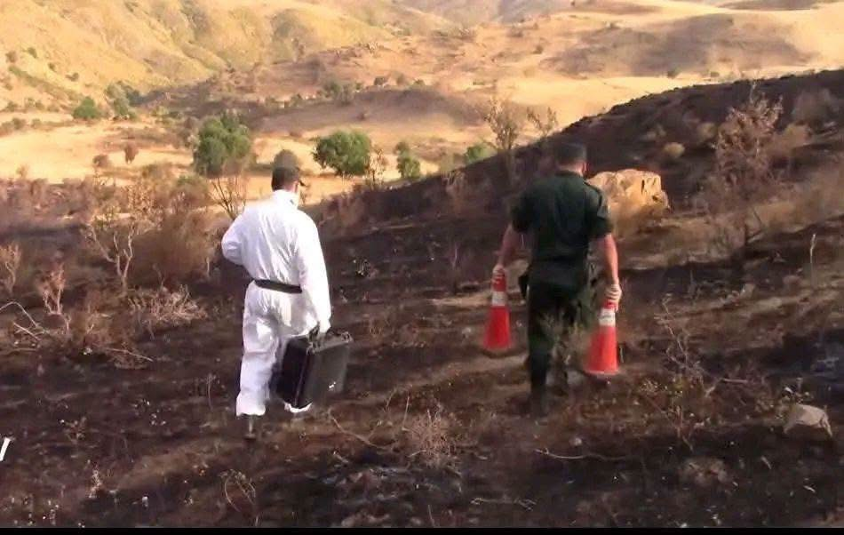 Deadly Fires Rock Algeria… Gendarmerie Begins Investigation and Evidence Collection!