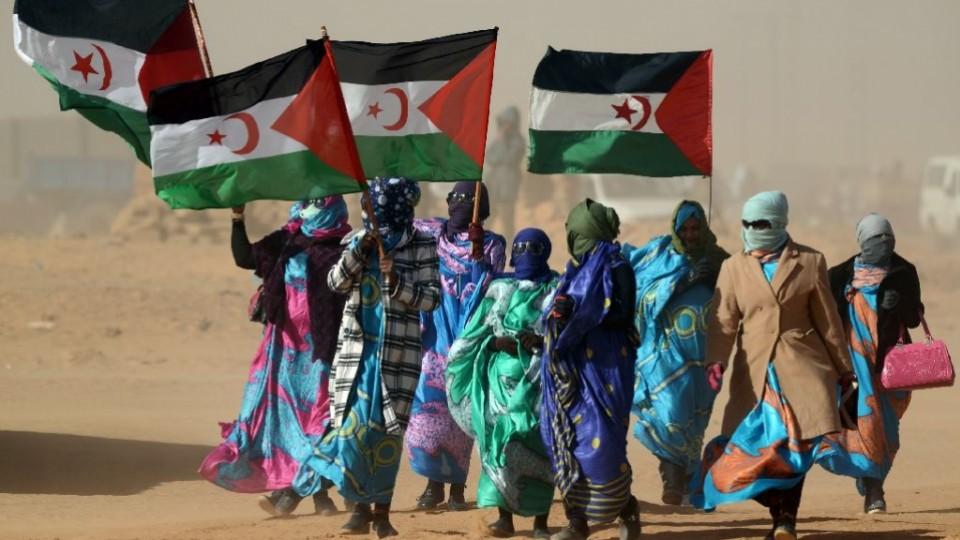 دعم متواصل لحق الشعب الصحراوي في تقرير المصير بإيطاليا