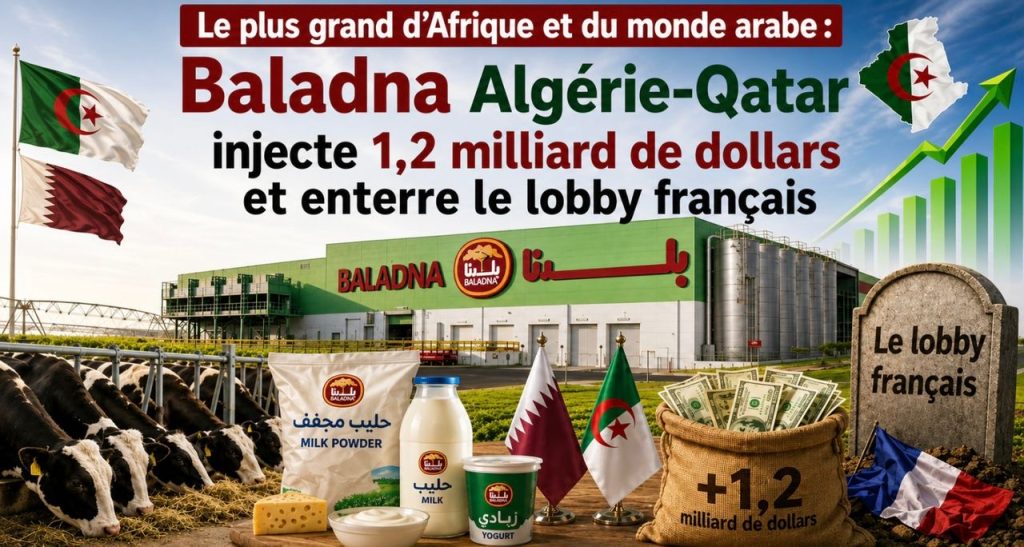 Le plus grand d’Afrique et du monde arabe : Baladna Algérie-Qatar injecte 1,2 milliard de dollars et enterre le lobby français