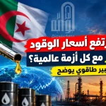 لماذا لا ترتفع أسعار الوقود في الجزائر مع كل أزمة عالمية؟ خبير طاقوي يوضح