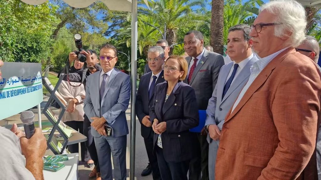 من الاستباق إلى الإنذار المبكر.. الجزائر تحصّن منظومتها لمواجهة مخاطر المناخ