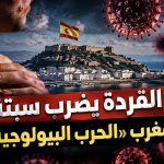 جدري القردة يضرب سبتة.. هل بدأ المغرب «الحرب البيولوجية» ؟