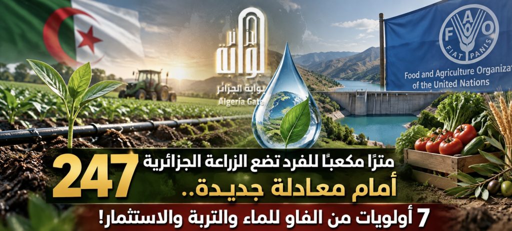 247 مترًا مكعبًا للفرد تضع الزراعة الجزائرية أمام معادلة جديدة.. 7 أولويات من الفاو للماء والتربة والاستثمار
