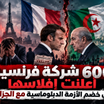 600 شركة فرنسية أعلنت إفلاسها في خضم الأزمة الدبلوماسية مع الجزائر