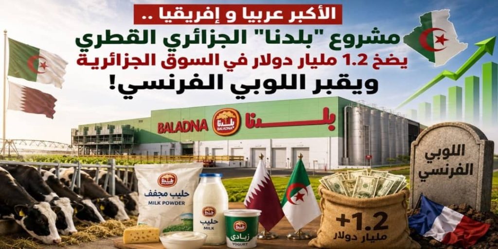 الأكبر عربيا وإفريقيا..مشروع بلدنا الجزائري القطري .. يوفر 1.2 مليار دولار  للخزينة سنويا  ويقبر لوبي الاستيراد الفرنسي!