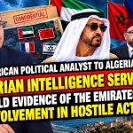 An American political analyst to Algeria Gate: Algerian intelligence services hold evidence of the Emirates’ involvement in hostile acts