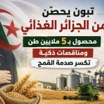 تبون يحصّن أمن الجزائر الغذائي.. محصول بـ5 ملايين طن ومناقصات ذكية تكسر صدمة القمح