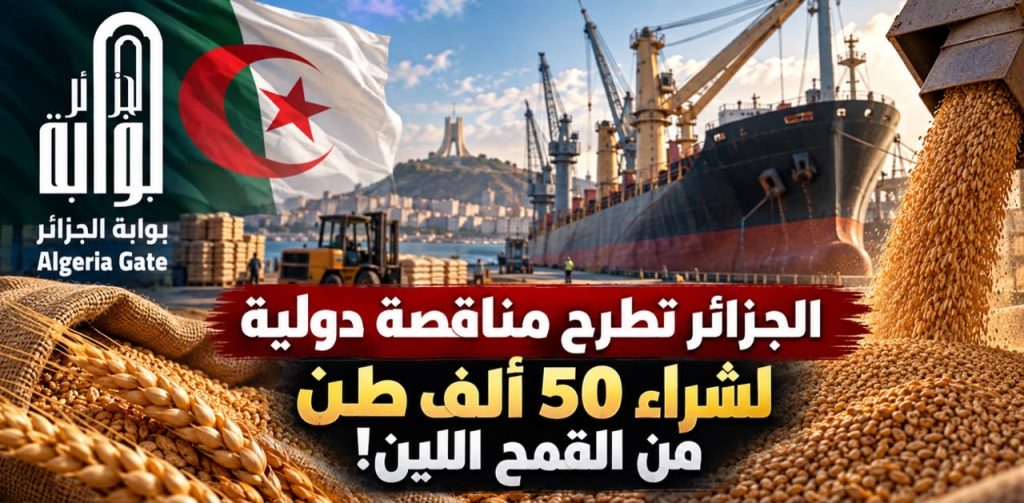 الجزائر تطرح مناقصة دولية لشراء 50 ألف طن من القمح اللين!