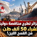 الجزائر تطرح مناقصة دولية لشراء 50 ألف طن من القمح اللين!