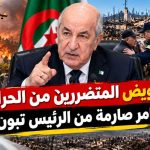 تعويض المتضررين من الحرائق.. أوامر صارمة من الرئيس تبون!