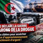 L’Algérie déclare la guerre aux barons de la drogue : opérations ciblées pour assécher les réseaux d’approvisionnement et de blanchiment d’argent