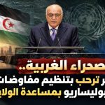قضية الصحراء الغربية.. الجزائر ترحب بتنظيم مفاوضات بين المغرب والبوليساريو بمساعدة الولايات المتحدة!