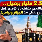 2.5 مليار برميل.. وزير البترول النيجري يكشف بالأرقام عن إمكانات أضخم مشروع ⁧‫نفطي بين الجزائر ونيامي!