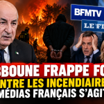 Tebboune frappe fort contre les incendiaires : les médias français s’agitent