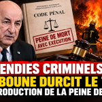 Incendies criminels : Tebboune durcit le ton et ordonne la réintroduction de la peine de mort