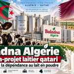 Baladna Algérie : le méga-projet laitier qatari qui doit sortir le pays de sa dépendance au lait en poudre