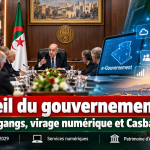 Conseil du gouvernement : Alger adopte sa stratégie contre les gangs de quartier et accélère la modernisation numérique