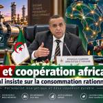 Énergie : le ministre Adjal insiste sur la rationalisation de la consommation de gaz et la coopération africaine
