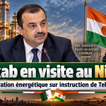 Sur instruction du président Tebboune, Mohamed Arkab en visite de travail au Niger