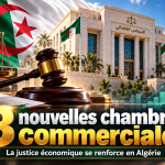 Installation de 13 nouvelles chambres commerciales spécialisées à travers le territoire national