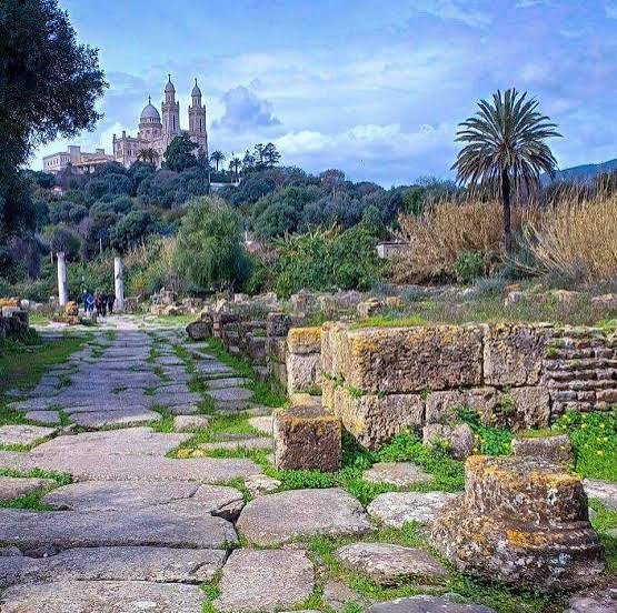 10 آلاف في 3 أشهر.. متحف هيبون الجزائري الشهير يحطم رقما قياسيا جديدا في عدد الزوار!
