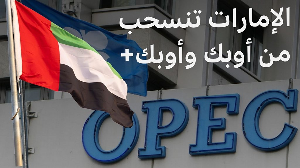 دويلة محاصرة بمضيق أمام دولة قارة.. نفط الجزائر يهزم هشاشة الرهان الإماراتي في الهند