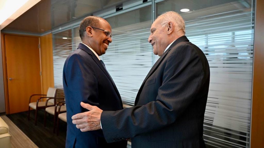 من إيكوسوك إلى أزمات إفريقيا.. الجزائر توسع دوائر تحركها في نيويورك عبر 8 لقاءات رفيعة المستوى