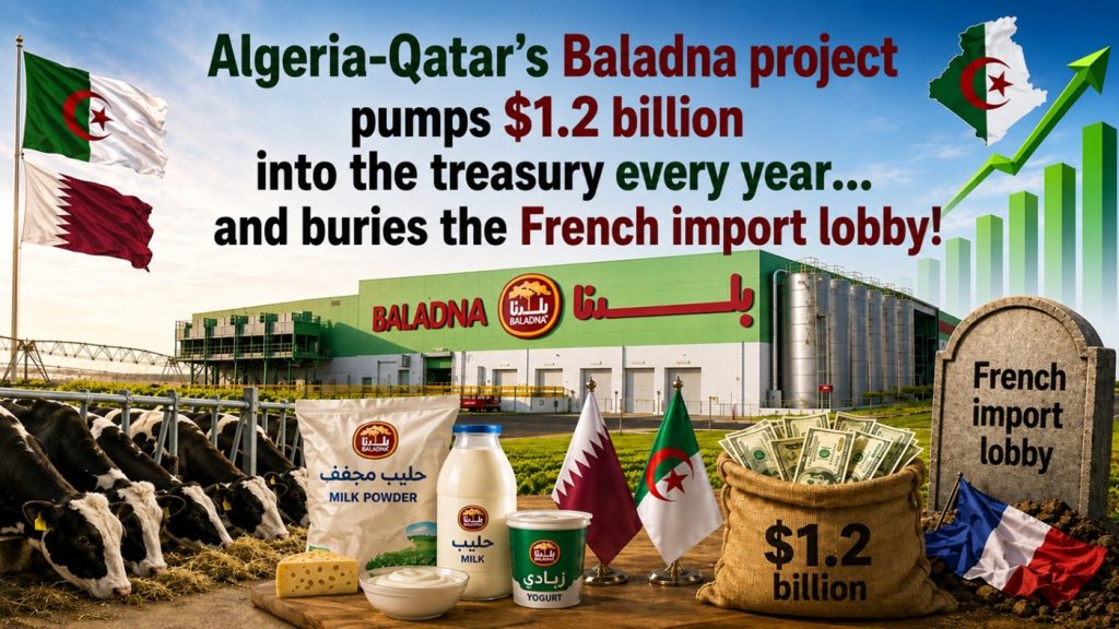 Algeria-Qatar’s Baladna project pumps $1.2 billion into the treasury every year… and buries the French import lobby!