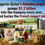 Algeria-Qatar’s Baladna project pumps $1.2 billion into the treasury every year… and buries the French import lobby!