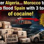 After Algeria… Morocco tries to flood Spain with 3 tons of cocaine!