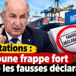 Importations : Tebboune frappe fort contre les fausses déclarations