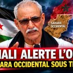 Sahara occidental : Brahim Ghali alerte l’ONU sur les risques de l’occupation marocaine
