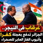 عرقاب في النيجر.. الجزائر تدفع بعجلة كفرا وأنبوب الغاز العابر للصحراء