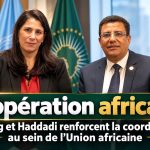 Coopération africaine : Fatah Boutbig et Salma Malika Haddadi s’accordent pour renforcer la coordination au sein de l’Union africaine