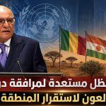 الجزائر ستظل مستعدة لمرافقة دول الساحل ومد يد العون لاستقرار المنطقة وتطورها