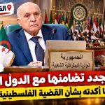 من القاهرة.. الجزائر تجدد تضامنها مع الدول العربية وهذا ما أكدته بشأن القضية الفلسطينية !
