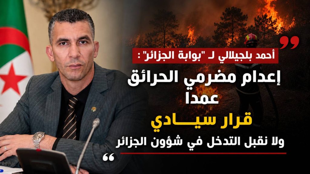 أحمد بلجيلالي لـ” بوابة الجزائر “: إعدام مضرمي الحرائق عمدًا قرار سيادي ولا نقبل التدخل في شؤون الجزائر