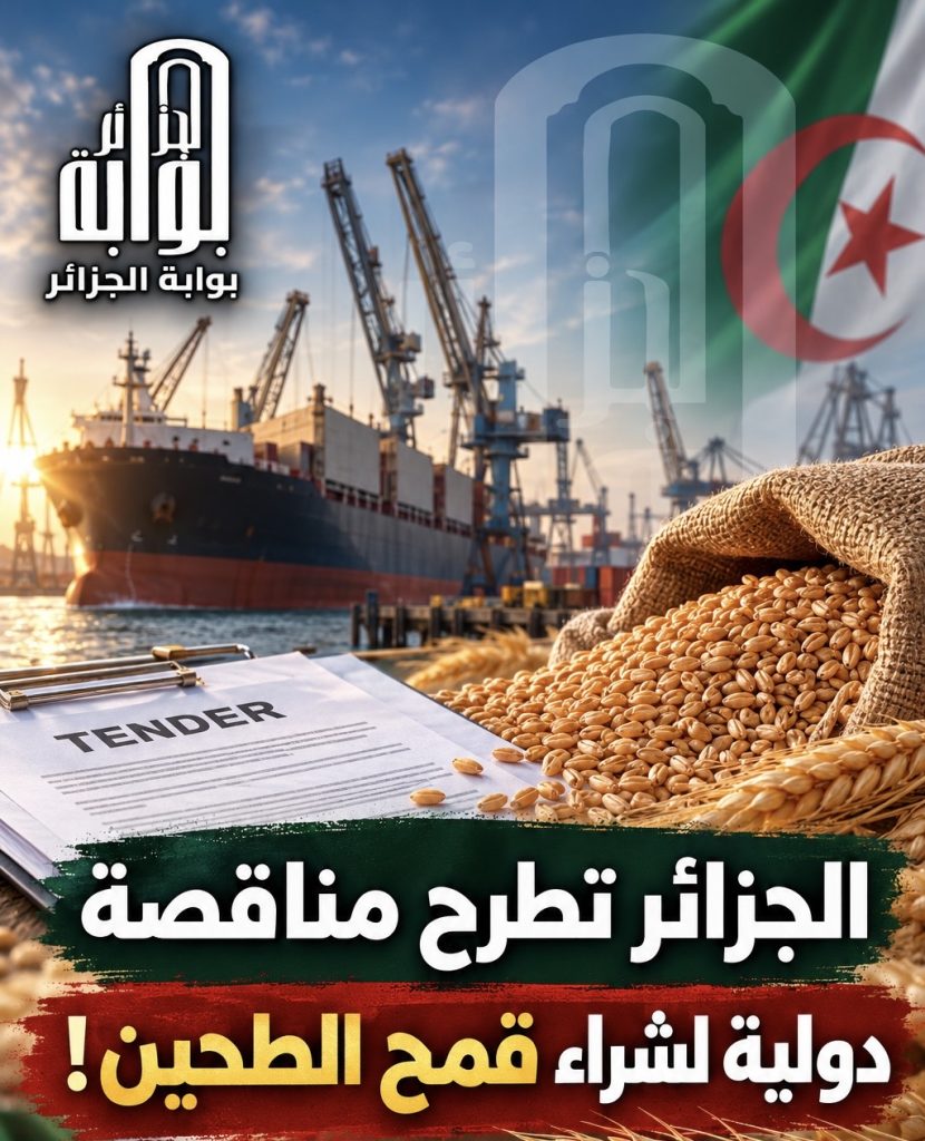 الجزائر تطرح مناقصة دولية لشراء 50 ألف طن من قمح الطحين!